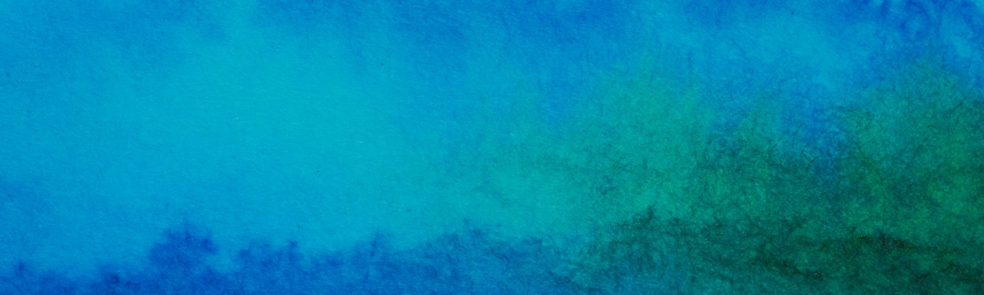 Future and Trust in Germany:
What Cohesion Needs in 2030