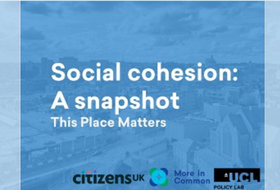 Social cohesion: A snapshot