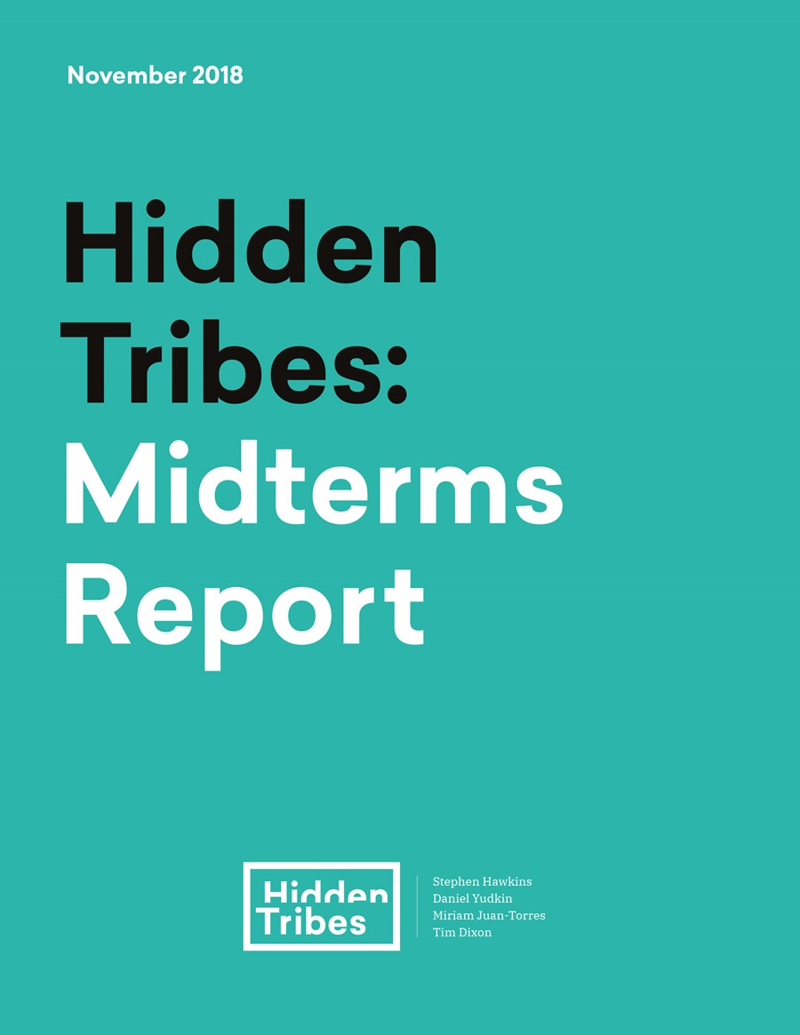 Hidden Tribes: Midterm Update