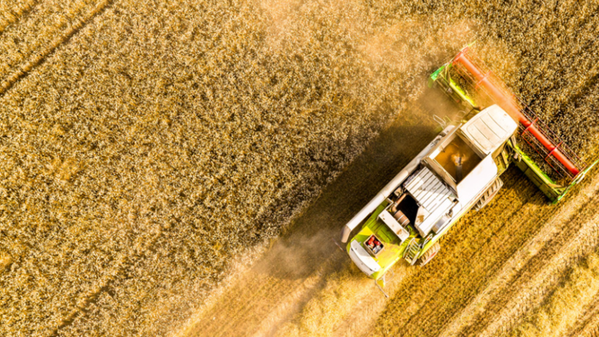 Spanish society's perceptions on agriculture and food 