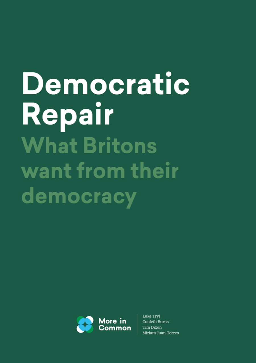 Democratic Repair