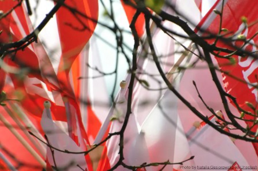 Divisions, hopes and challenges. Poland one year after 15 October